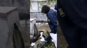 Армения, Нор-Ачин, Арзни, источник с минеральной водой