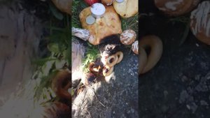 Ритуал на природе.Избавление от Злой Недоли.Привлечение счастливой Доли.