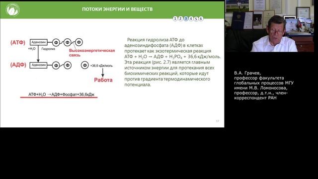 №4 Биосфера – коренное понятие экологии. Взаимодействие организмов с окружающей средой.