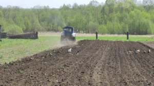 Подготовка поля под картошку.mp4