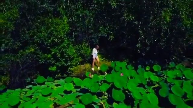 Лотосы, Архаринский район Амурской области. смотреть онлайн