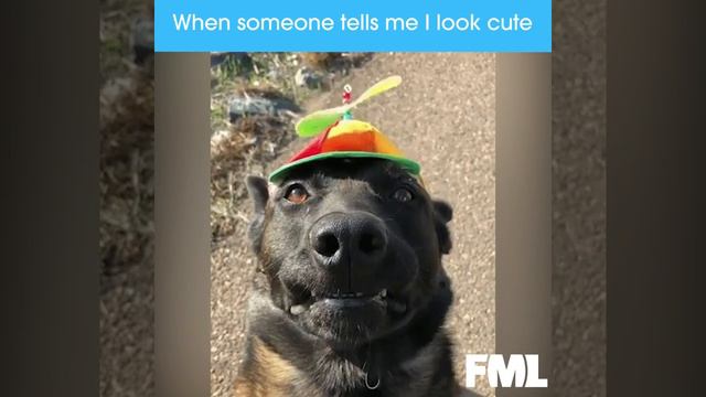 Awkward Compliments смотреть онлайн