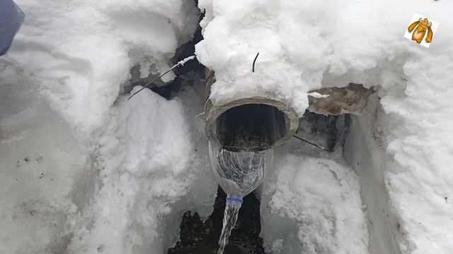 Зимний лес || свежая родниковая вода смотреть онлайн