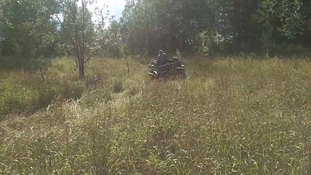 Черепаха с ведущей звездой!!! испытания в лесу смотреть онлайн