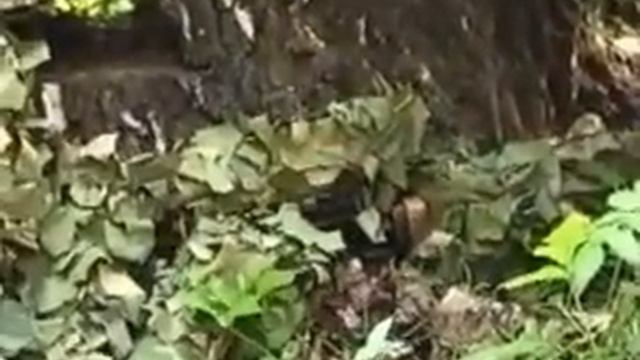 Экипировка и маскировка снайперов смотреть онлайн