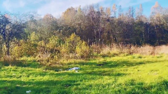 Vlog #8 || БЕЛОРУССКИЕ ВОДОПАДЫ. Красиво, но…