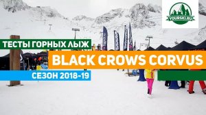 Тест горных лыж Black Crows Corvus