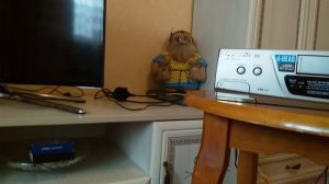 Запись с флэшки на видеокассету.