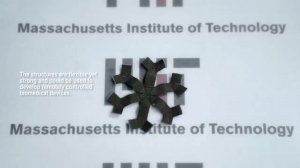 Технология 3D-печати мягких роботов-трансформеров