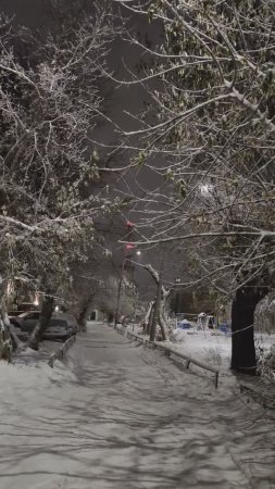 Зимняя картина
