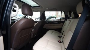 OTING (отинг) PALADIN (паладин) темно синего цвета с бело-коричневым салоном.