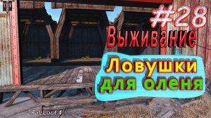 Ловушки для оленя. Fallout 4. #28. Прохождение. Выживание.