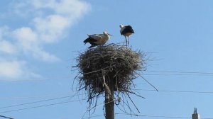 Май в деревне 2014 год