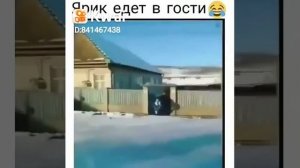 Ярик бачок потёк