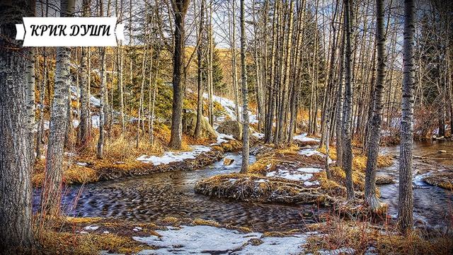 ? Жизненные истории ?Вопящая жена заявила «Это чучело утверждает что она наша дочь» Истории из жизн смотреть онлайн