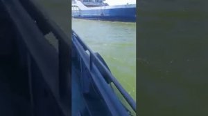 паром Ейск-Мариуполь.репетиция по морю перед запуском постоянного маршрута