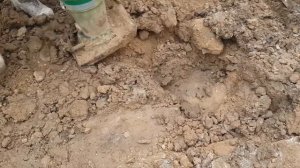 Трамбование СЫРОЙ ГЛИНЫ Вибротрамбовкой Wacker Neuson BS 60-2i