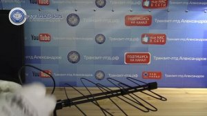 домашняя антенна Дельта К 131