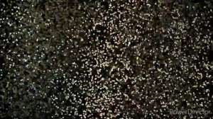 Как я сделал полку для обуви из не нужного поддона