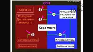 Лекция Ковальзона и Руцковой