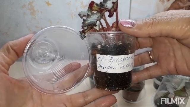 Завершающая посылочка этого года