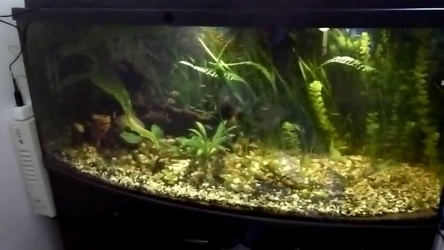 Panasonic TZ20 Test w kiepskim swietle o zmroku смотреть онлайн