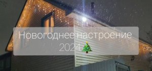 Новогоднее настроение 2024.mp4