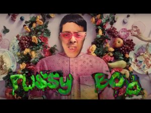 Justhing - PU$$Y BOY [Official Audio Video]