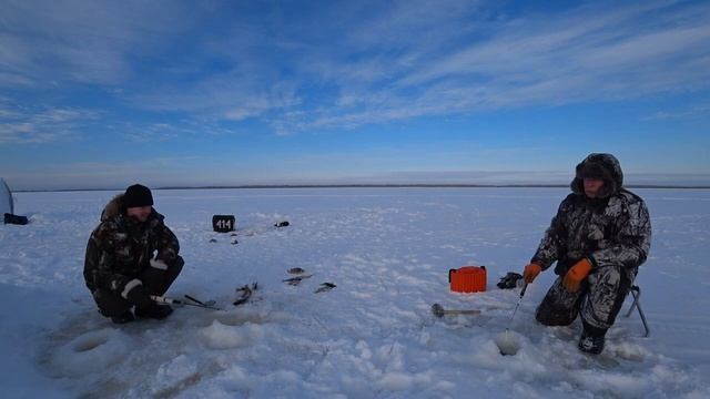 Рыбалка в тайге ХМАО-Югры. Глухозимье на шугурских озёрах.
