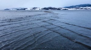 Если вы заметите квадратные волны в море, немедленно выходите из воды