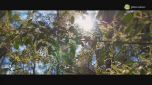 ПЕРМАКУЛЬТУРА: НАЧАЛО ПУТИ.