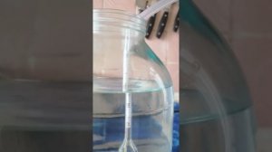 Вейн реформ вторая перегонка