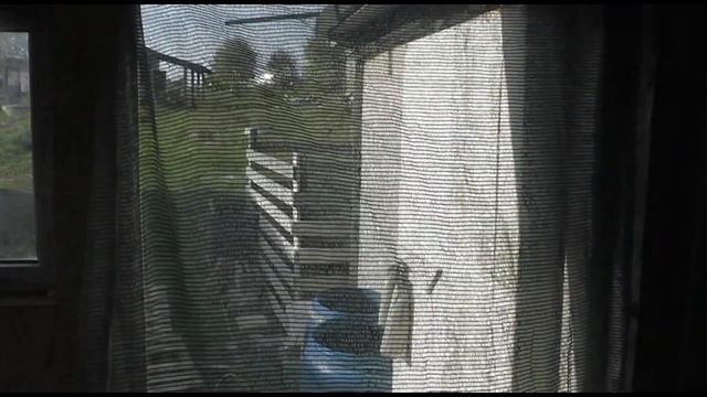 Шо опять??? корова не беременна???