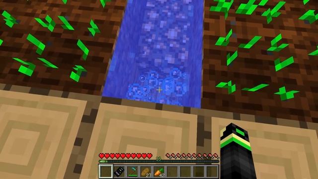 Почему ПРОПАВШИЙ ДРУГ ВОВА СКРЫВАЕТ ДОМ под ОГОРОДАМИ в Майнкрафте ! 100% ВИДЕО ТРОЛЛИНГ MINECRAFT смотреть онлайн