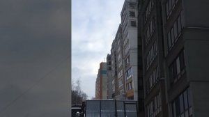 Манок для ворон Nordik Predator Crow