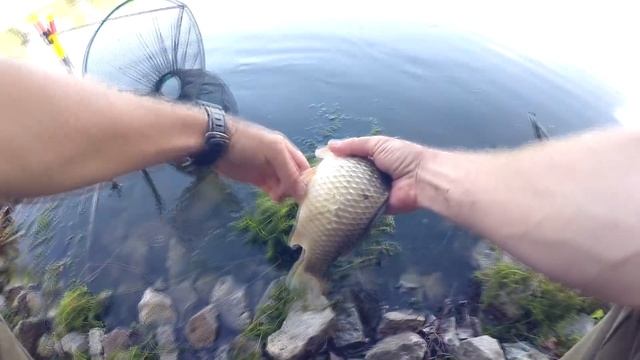 КРУПНЫЙ КАРАСЬ ПОШЕЛ!!! | РЫБАЛКА НА ФИДЕР смотреть онлайн