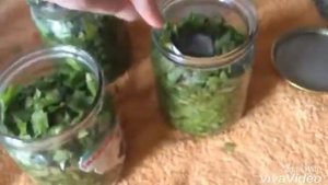 Щавель на зиму