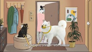 Правила выгула собак | Кот Бублик
