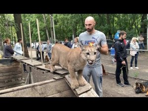 Снова в школу. Пума Месси третьеклассник.