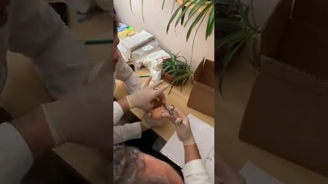Анестезии в стоматологии. Алгоритм проведения анестезии.