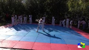 Apreasentação de Capoeira na Festa de Abertura da 39° edição:a Seixalíada