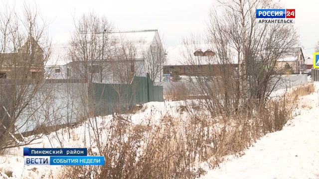 В населенных пунктах области появились волки смотреть онлайн