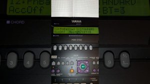 Встань и пойди, всему миру расскажи YAMAHA PSR 2700