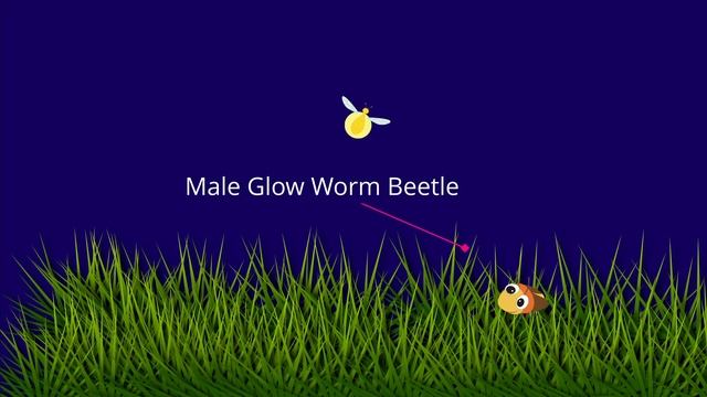 Bioluminescence or How Scientists Found the Giant Squid смотреть онлайн