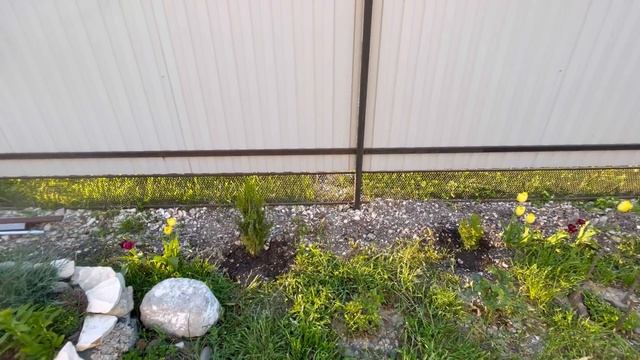 Курятник в процессе/ Огород и сад в норме / Жизнь в станице смотреть онлайн