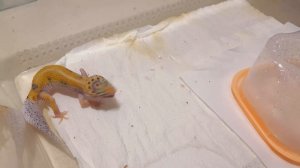 ЧТО ТАКОЕ СИНДРОМ ЭНИГМЫ И КАК ЕГО ЛЕЧИТЬ??