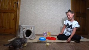 Что мои котятки умеют в 1 месяц