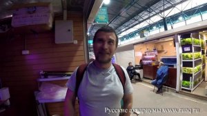 Птичий рынок