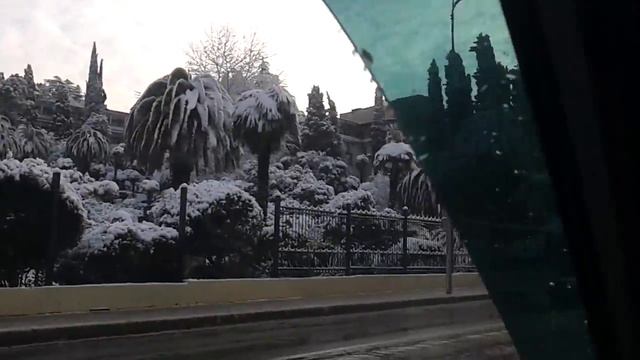 Видео пальмы в снегу.mp4 смотреть онлайн