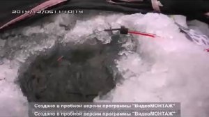 Зимняя рыбалка на течении,река Белая